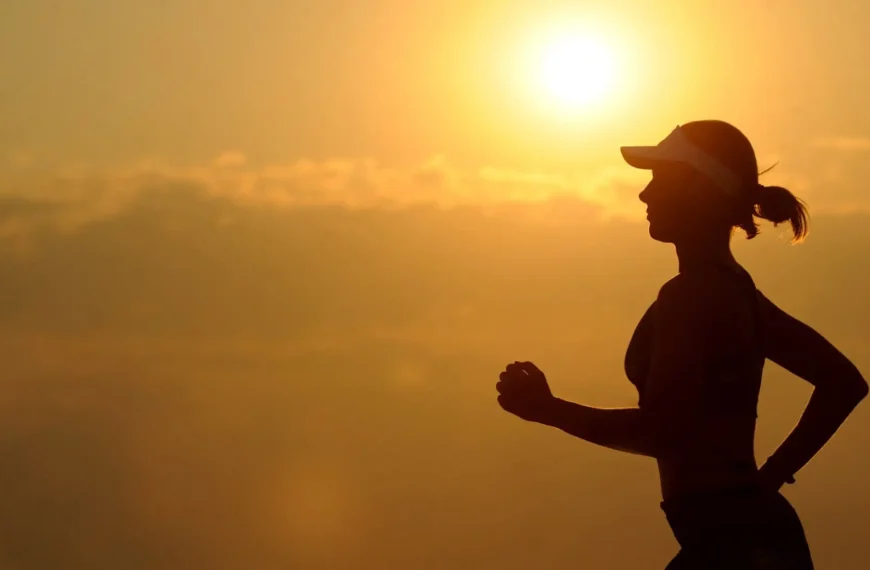 Mind-Body Connection for Meditation