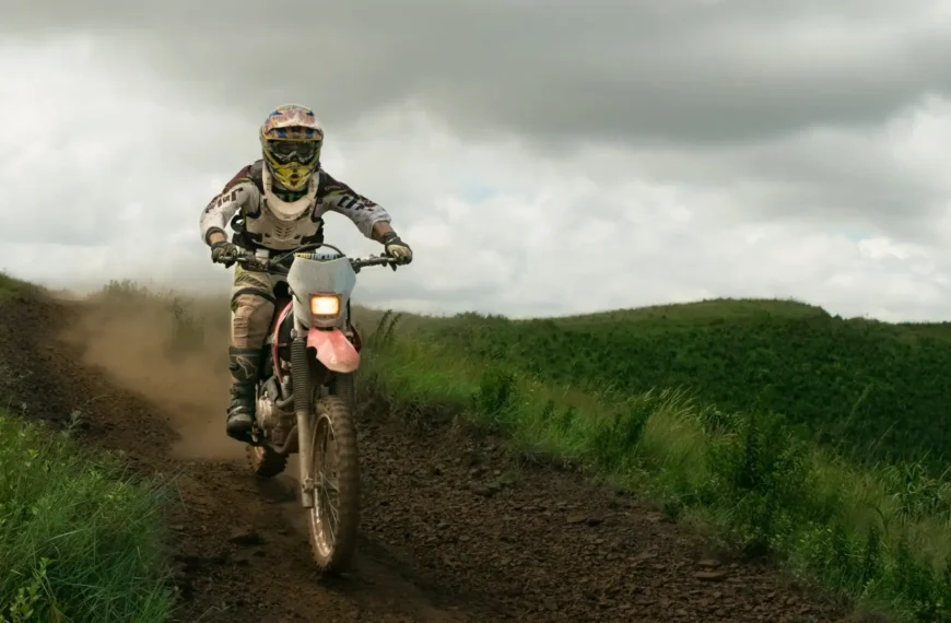 The Enduring Appeal of Gaming…